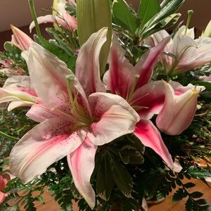 Meet your Posher, Angie